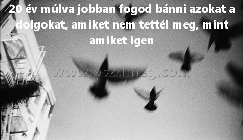 20 év múlva jobban
 
20 év múlva jobban fogod bánni azokat a dolgokat, amiket nem tettél meg, mint amiket igen