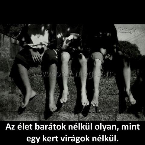 Az élet barátok nélkül
 
Az élet barátok nélkül olyan, mint egy kert virágok nélkül.