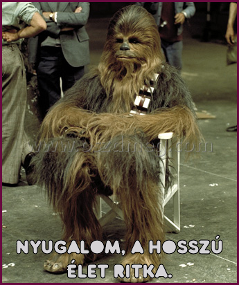 Nyugalom Nyugalom
Nyugalom, a hosszú élet ritka.