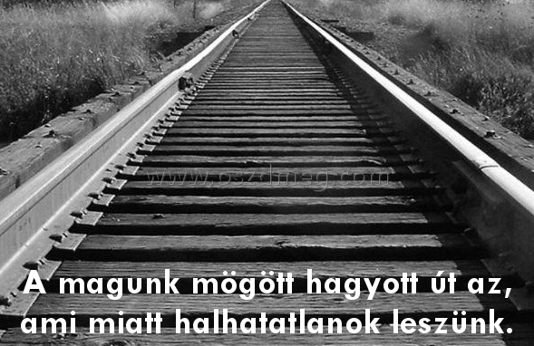 A magunk mögött hagyott
 
A magunk mögött hagyott út az, ami miatt halhatatlanok leszünk.