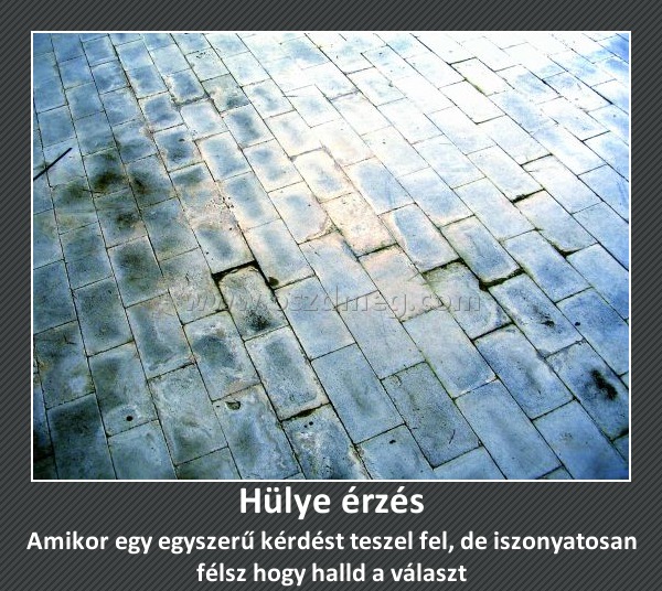 Hülye érzés
 
Amikor egy egyszerű kérdést teszel fel, de iszonyatosan félsz hogy halld a választ