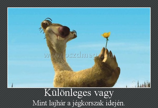 Különleges vagy Különleges vagy
Mint lajhár a jégkorszak idején.