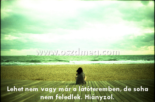 Lehet nem vagy már
 
Lehet nem vagy már a látóteremben, de soha nem feledlek. Hiányzol.