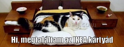 IKEA kártya IKEA kártya
Hi, megtaláltam az IKEA kártyád