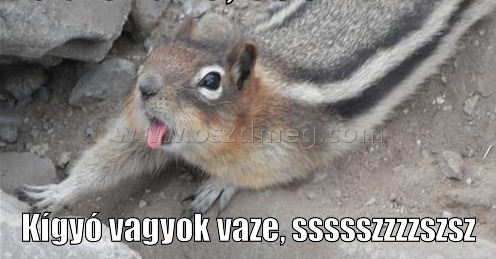 Kígyó vagyok vaze Kígyó vagyok vaze
Kígyó vagyok vaze, ssssszzzzszsz