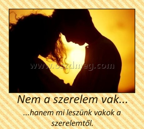 Nem a szerelem vak...
 
...hanem mi leszünk vakok a szerelemtől.