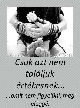 Csak azt nem találjuk értékesnek...
 
...amit nem figyelünk meg eléggé.