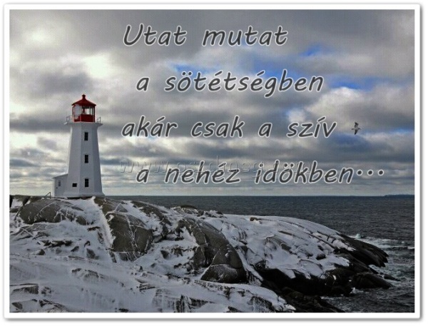 Utat mutat
 
