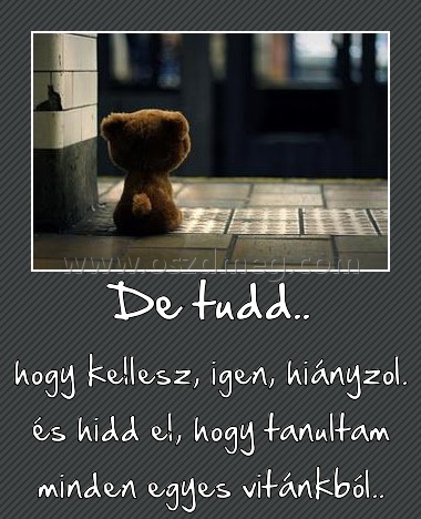 De tudd.. De tudd..
hogy kellesz, igen, hiányzol. és hidd el, hogy tanultam minden egyes vitánkból..