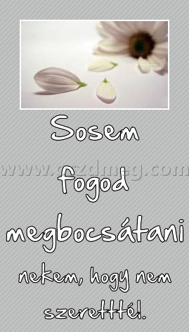 Sosem fogod megbocsátani
 
nekem, hogy nem szeretttél.