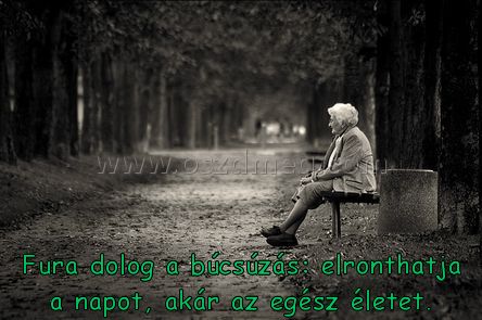 Fura dolog a búcsúzás:
 
Fura dolog a búcsúzás: elronthatja a napot, akár az egész életet.