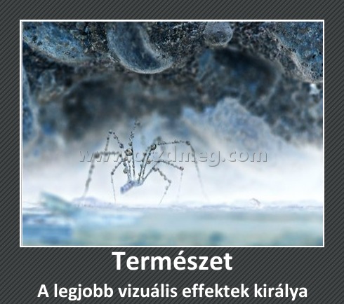 Természet Természet
A legjobb vizuális effektek királya