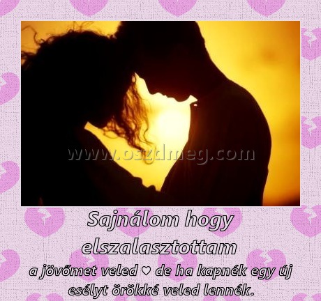 Sajnálom hogy elszalasztottam 
 
a jövőmet veled ♥ de ha kapnék egy új esélyt örökké veled lennék.