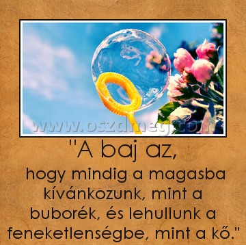 "A baj az,
 
 hogy mindig a magasba kívánkozunk, mint a buborék, és lehullunk a feneketlenségbe, mint a kő.