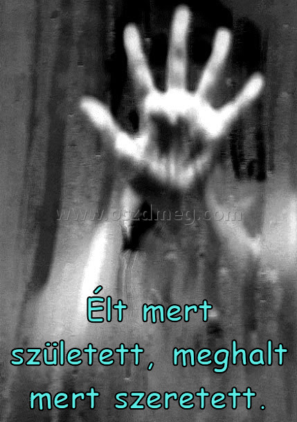 Élt mert született Élt mert született
Élt mert született, meghalt mert szeretett.