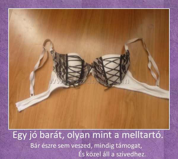 Egy jó barát, olyan mint a melltartó. 
 
                 Bár észre sem veszed, mindig támogat,                                                     És közel áll a szívedhez.