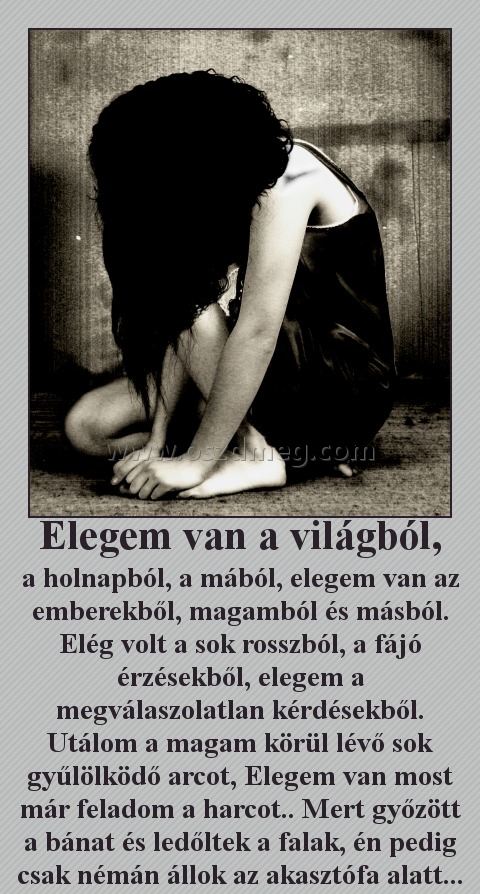 Elegem van a világból,
 
a holnapból, a mából, elegem van az emberekből, magamból és másból. Elég volt a sok rosszból, a fájó érzésekből, elegem a megválaszolatlan kérdésekből. Utálom a magam körül lévő sok gyűlölködő arcot, Elegem van most már feladom a harcot.. Mert győzött a bánat és ledőltek a falak, én pedig csak némán állok az akasztófa alatt...