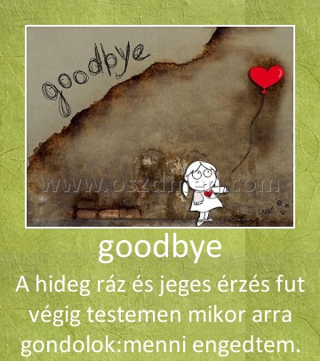 goodbye
 
A hideg ráz és jeges érzés fut végig testemen mikor arra gondolok:menni engedtem.
