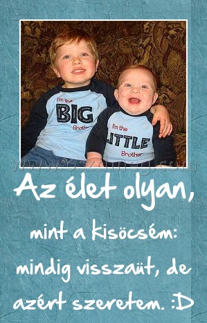 Az élet olyan,
 
mint a kisöcsém: mindig visszaüt, de azért szeretem. :D