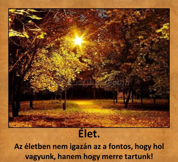 Élet.
 
Az életben nem igazán az a fontos, hogy hol vagyunk, hanem hogy merre tartunk!