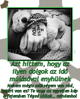 Azt hittem
 
 Nekem mégis szükségem van rád, miért van ez? Te vagy az egyetlen kép a fejemben Téged látlak… mindenhol