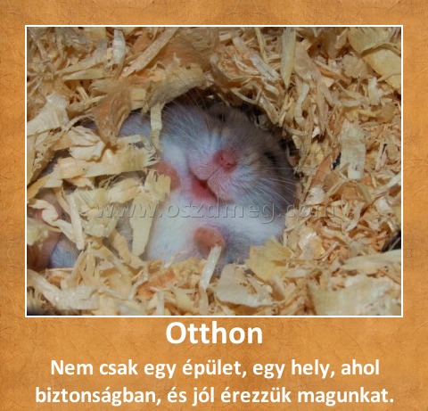 Otthon
 
Nem csak egy épület, egy hely, ahol biztonságban, és jól érezzük magunkat.