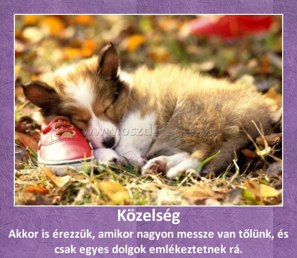 Közelség
 
Akkor is érezzük, amikor nagyon messze van tőlünk, és csak egyes dolgok emlékeztetnek rá.