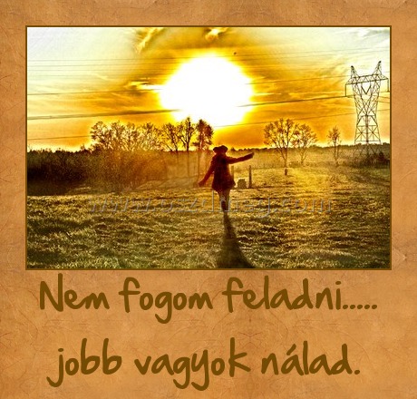 Nem fogom feladni..... jobb vagyok nálad.
 

