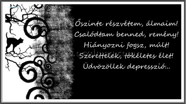 Őszinte részvétem
 
