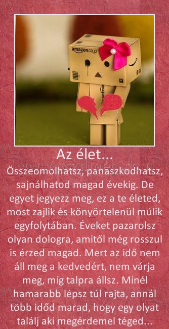 Az élet...
 
Összeomolhatsz, panaszkodhatsz, sajnálhatod magad évekig. De egyet jegyezz meg, ez a te életed, most zajlik és könyörtelenül múlik egyfolytában. Éveket pazarolsz olyan dologra, amitől még rosszul is érzed magad. Mert az idő nem áll meg a kedvedért, nem várja meg, míg talpra állsz. Minél hamarabb lépsz túl rajta, annál több időd marad, hogy egy olyat találj aki megérdemel téged...