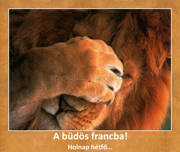 A büdös francba!
 
Holnap hétfő...