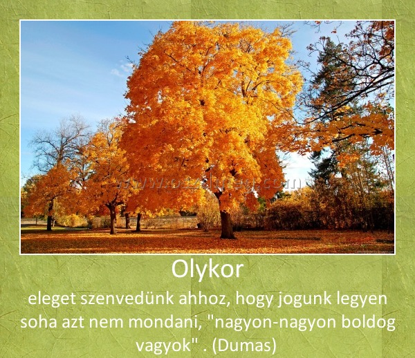 Olykor
 
eleget szenvedünk ahhoz, hogy jogunk legyen soha azt nem mondani, 