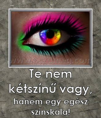 Te nem kétszínű vagy,
 
hanem egy egész színskála!