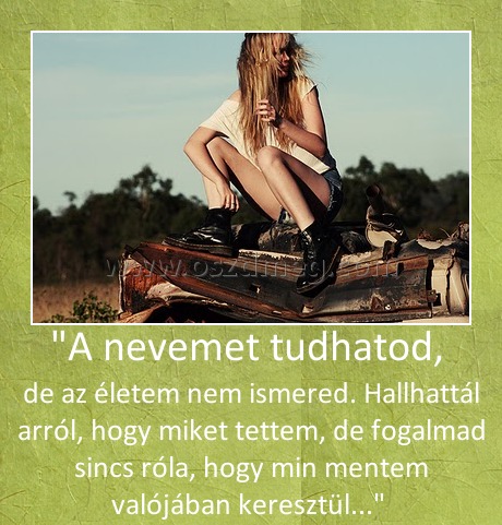 "A nevemet tudhatod, 
 
de az életem nem ismered. Hallhattál arról, hogy miket tettem, de fogalmad sincs róla, hogy min mentem valójában keresztül...