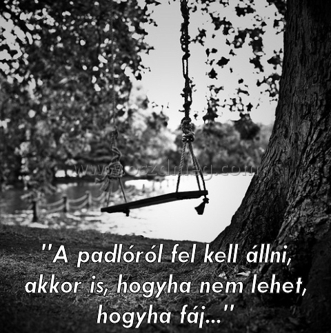 "A padlóról fel kell állni
 
