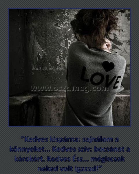 Kedves kispárna
 
”Kedves kispárna: sajnálom a könnyeket… Kedves szív: bocsánat a károkért. Kedves Ész... mégiscsak neked volt igazad!”