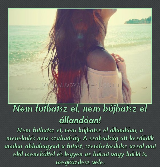 Nem futhatsz el, nem bújhatsz el állandóan!
 
Nem futhatsz el, nem bújhatsz el állandóan, a menekülés nem szabadság. A szabadság ott kezdődik amikor abbahagyod a futást, szembefordulsz azzal ami elől menekűltél és legyen az bármi vagy bárki is, megküzdesz vele.