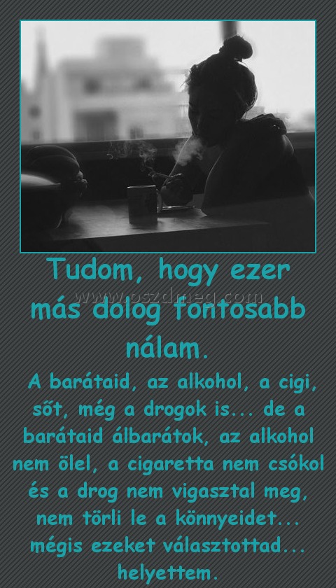 Tudom, hogy ezer más dolog fontosabb nálam.
 
 A barátaid, az alkohol, a cigi, sőt, még a drogok is... de a barátaid álbarátok, az alkohol nem ölel, a cigaretta nem csókol és a drog nem vigasztal meg, nem törli le a könnyeidet... mégis ezeket választottad... helyettem.
