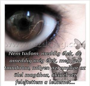 Nem tudom
 
Nem tudom, meddig élek, de ameddig még élek, meg kell tanulnom, milyen az, amikor az ölel magához, akinél ott felejtettem a lelkemet...