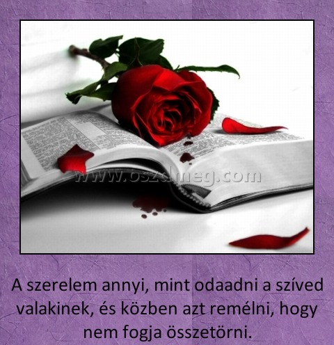 A szerelem annyi
 
A szerelem annyi, mint odaadni a szíved valakinek, és közben azt remélni, hogy nem fogja összetörni.