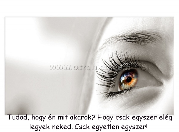Tudod Tudod
Tudod, hogy én mit akarok? Hogy csak egyszer elég legyek neked. Csak egyetlen egyszer!