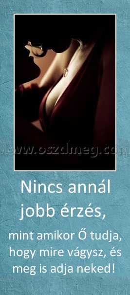 Nincs annál jobb érzés, 
 
mint amikor Ő tudja, hogy mire vágysz, és meg is adja neked! 