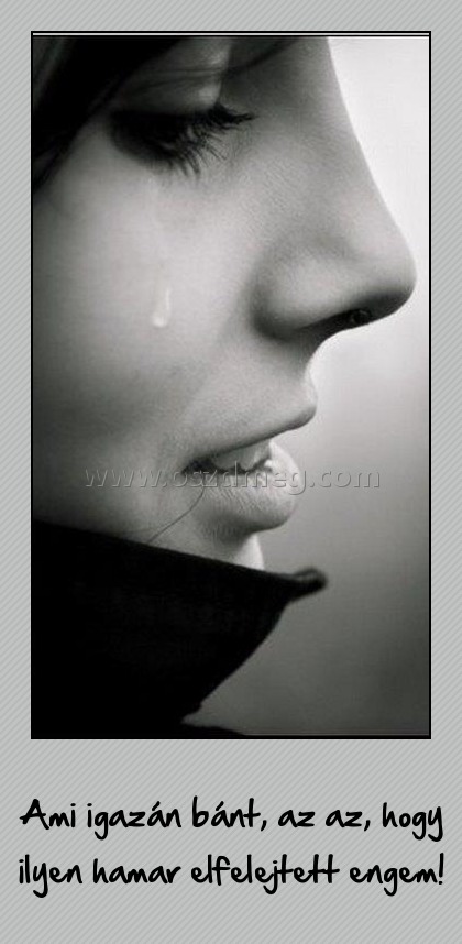 Ami igazán bánt Ami igazán bánt
Ami igazán bánt, az az, hogy ilyen hamar elfelejtett engem!