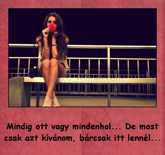 Mindig ott vagy mindenhol
 
Mindig ott vagy mindenhol... De most csak azt kívánom, bárcsak itt lennél...