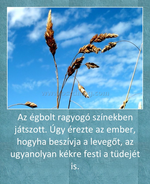 Az égbolt ragyogó színekben játszott. Úgy érezte az ember, hogyha beszívja a levegőt, az ugyanolyan kékre festi a tüdejét is.
 
