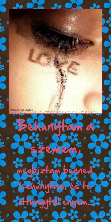 Behunytam a szemem, Behunytam a szemem,
megbíztam benned. Lehunytam, és te otthagytál engem...