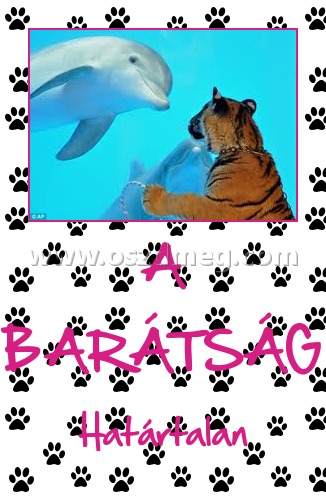 A BARÁTSÁG A BARÁTSÁG
Határtalan