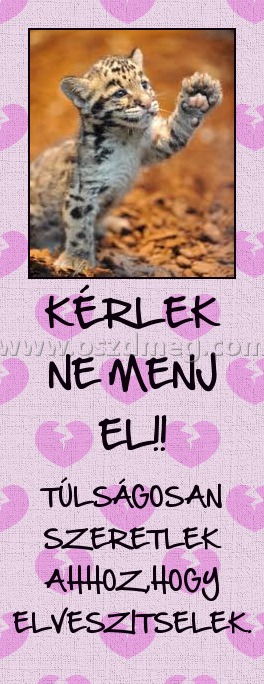 KÉRLEK NE MENJ EL!! KÉRLEK NE MENJ EL!!
TÚLSÁGOSAN SZERETLEK AHHOZ,HOGY ELVESZITSELEK.