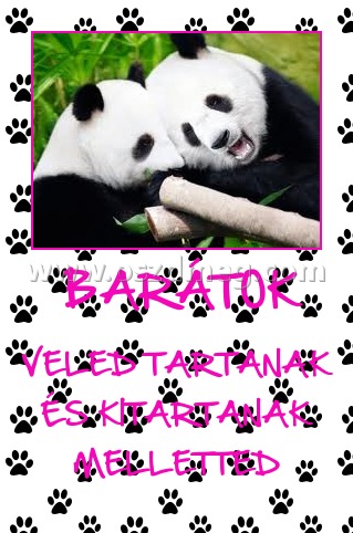 BARÁTOK BARÁTOK
VELED TARTANAK ÉS KITARTANAK MELLETTED