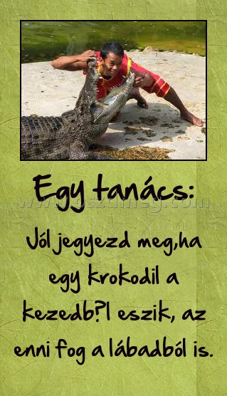 Egy tanács:
 
Jól jegyezd meg,ha egy krokodil a kezedből eszik, az enni fog a lábadból is.